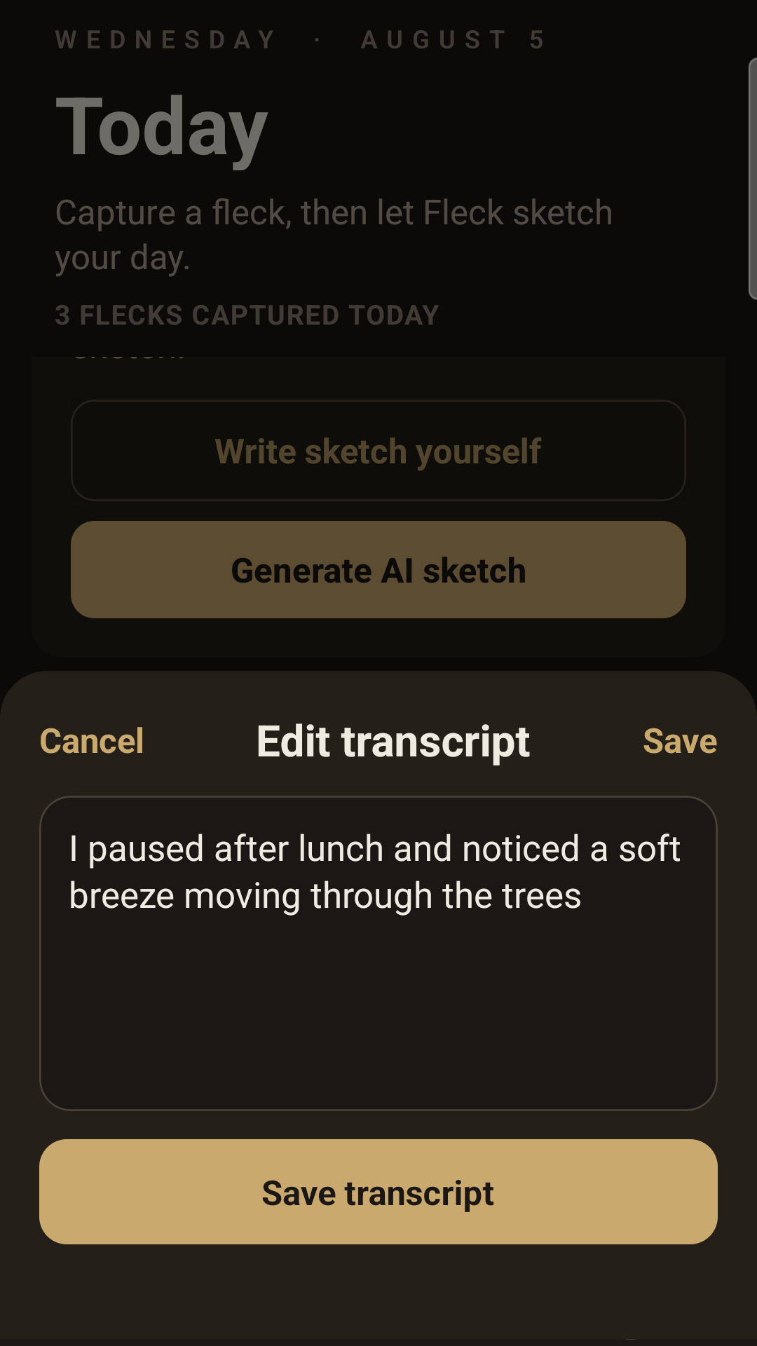 Fleck transcript editor showing synthetic text and Save controls